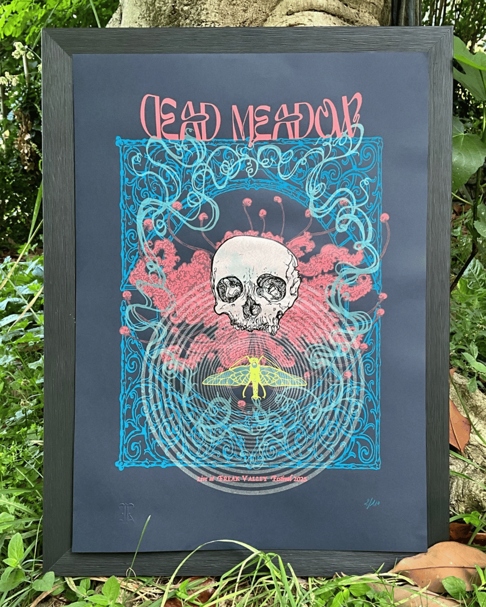 Image of DEAD MEADOW