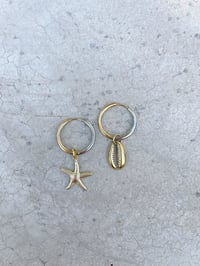 Image 3 of Charms Cauris acier 
