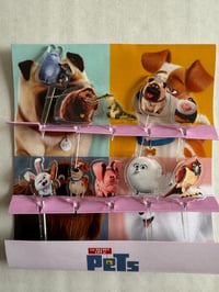 Pets Acrylic Food Picks 