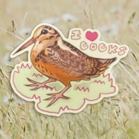 Image 1 of i love cocks woodcock sticker