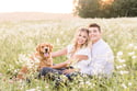 Scranton Engagement Sessions 