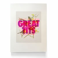 We come as a pair – Great tits [with blue tits]