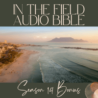 Image 1 of Freedom's Call: Why Paul Fought for Grace in Galatia