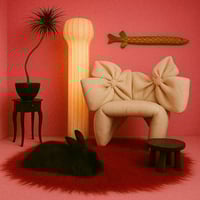 Image 2 of Dressing Chairs in the Pink Lady Room
