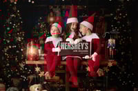 Image 1 of Elf on the Shelf Minis