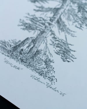 Hemlock, Signed Print
