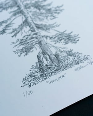 Hemlock, Signed Print