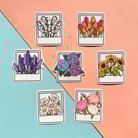 Image 1 of Clear Polaroid Vinyl Sticker