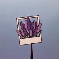 Image 4 of Clear Polaroid Vinyl Sticker