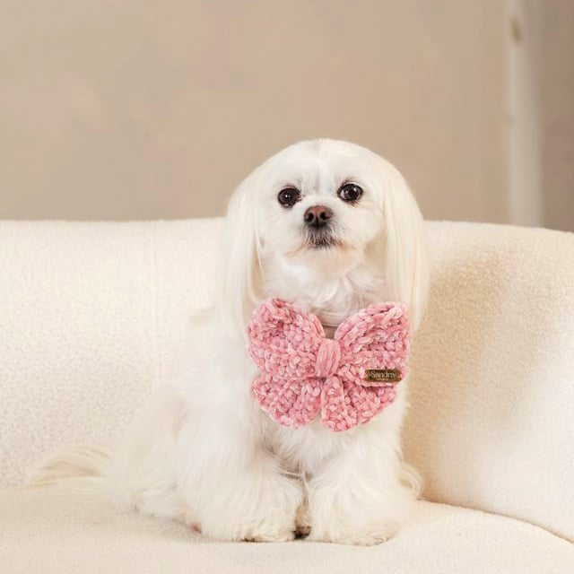 CROCHET BOW - COZY EDIT | Praline's Paw