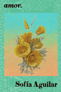 Image 4 of (PHYSICAL + SIGNED) amor.