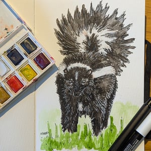 Image of S is for Skunk