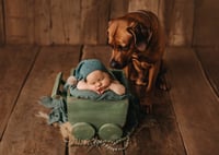 Image 6 of Baby Wagon in differen designs