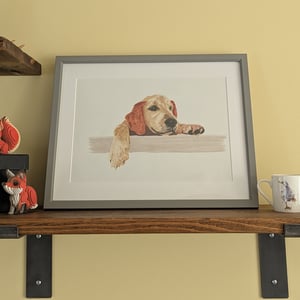 Image of Pet Portrait - Colour