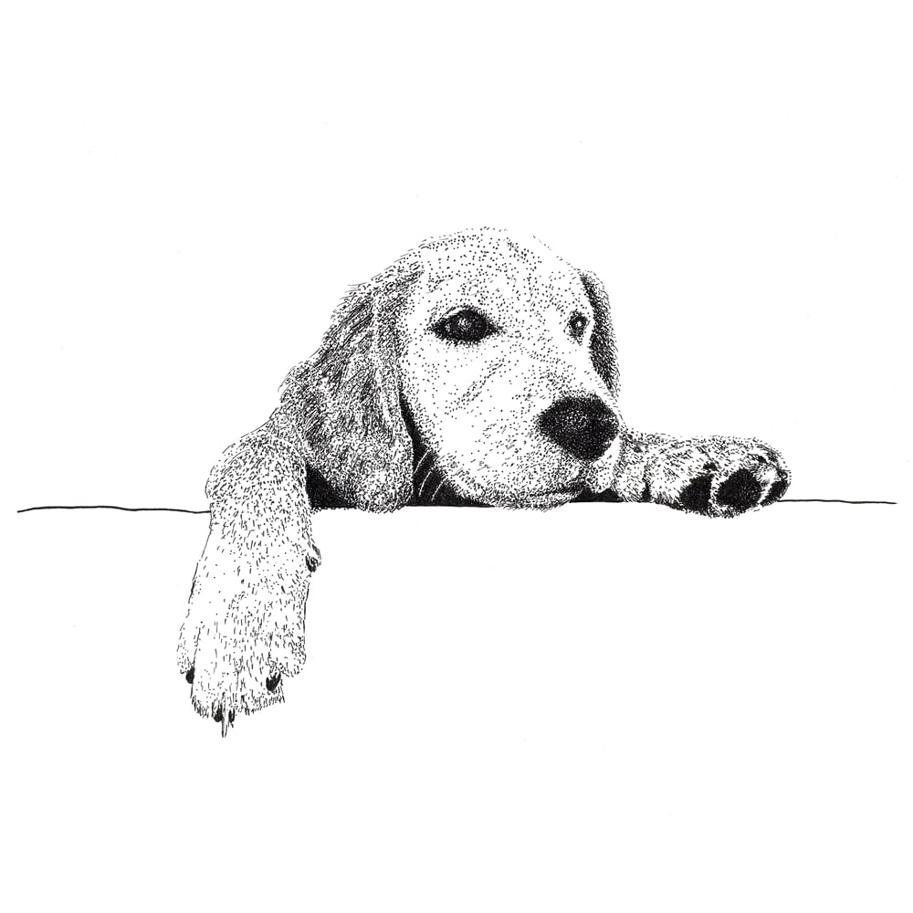 Image of Pet Portrait - Pen and ink
