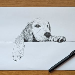 Image of Pet Portrait - Pen and ink