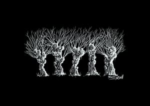 The Freaky Pollards T shirt design