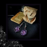 Image 2 of ☽ Primula Violacea ☾