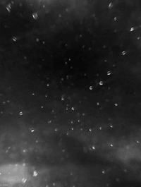 Image 1 of CALM VERSIONS 