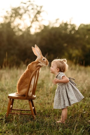 Image of Buy a regular session get a mini session free!