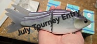 July Tourney Entry