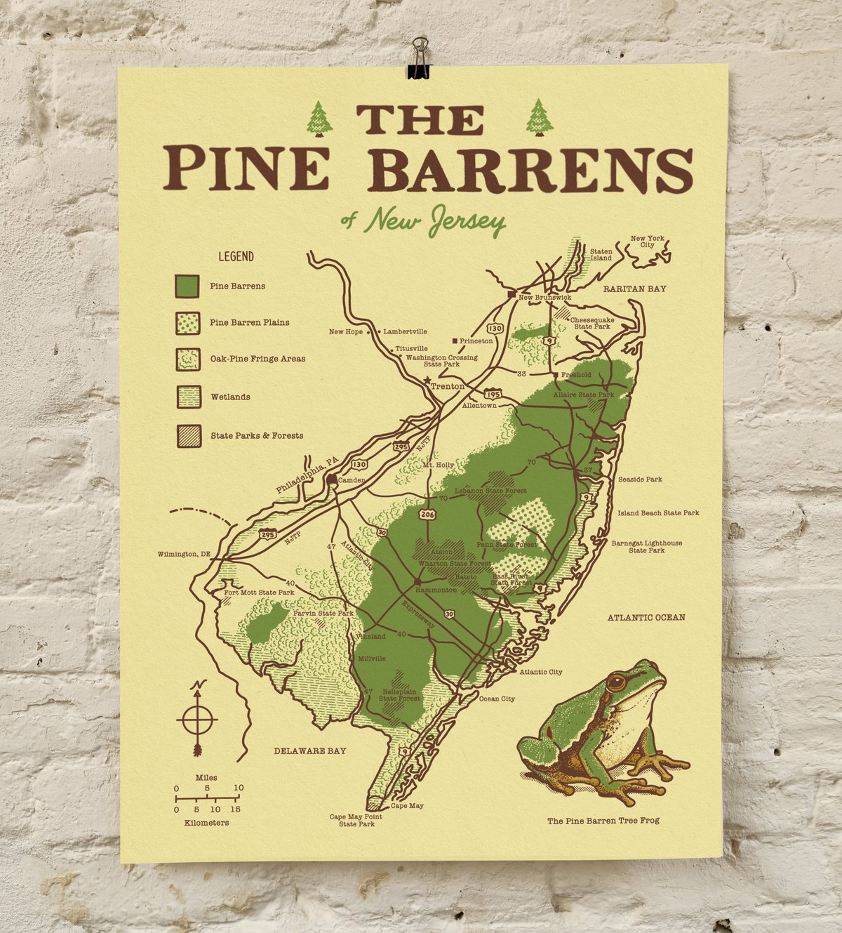 Image of Pine Barrens Poster Print