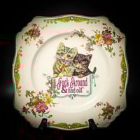 Fuck Around And Find Out Cat Plate