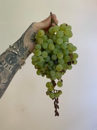 Image 3 of Midsummer Perfume (Blood Orange, Berries, Lemongrass)