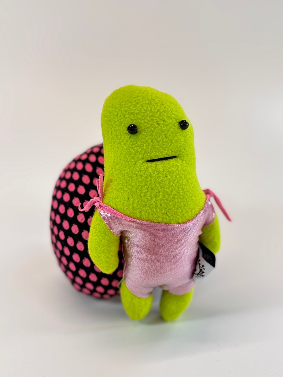 Image of Timothy Turtle