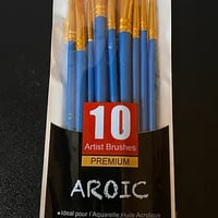 10 pack of Paint Brushes