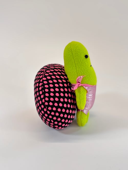 Image of Timothy Turtle
