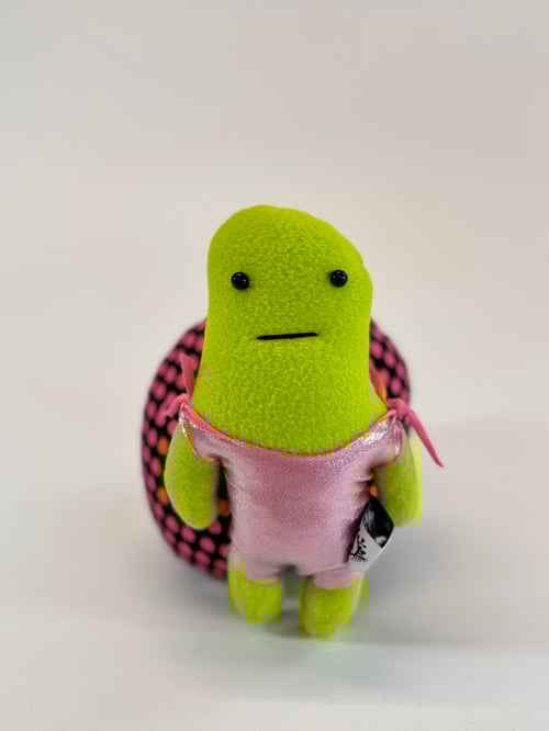 Image of Timothy Turtle