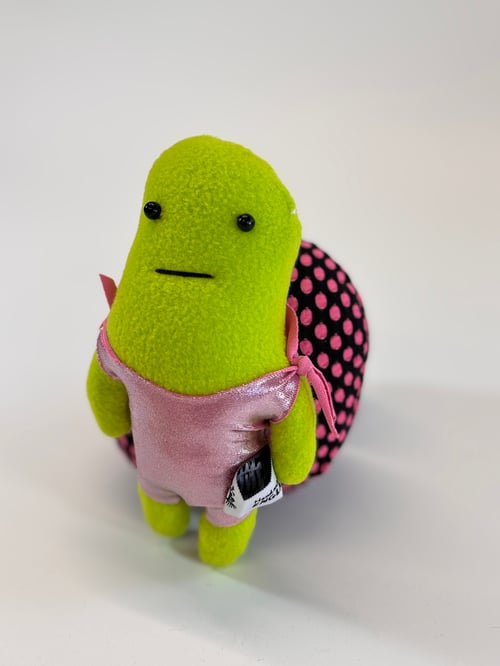 Image of Timothy Turtle