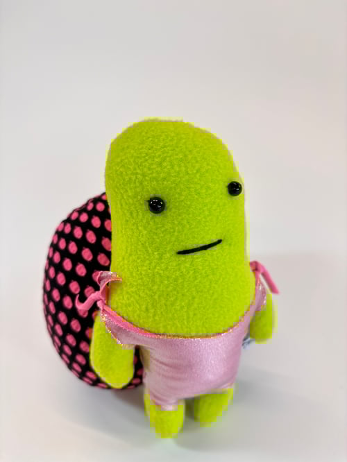 Image of Timothy Turtle