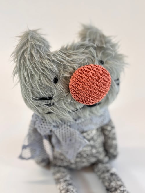 Image of Rorandy the cat