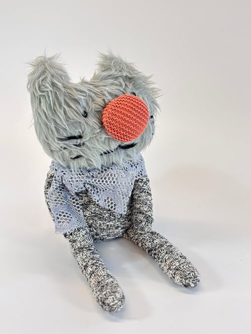Image of Rorandy the cat