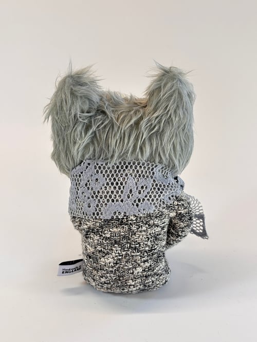 Image of Rorandy the cat