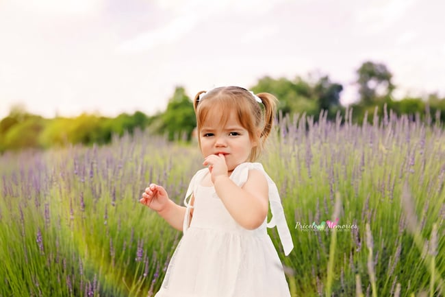 Lavender Mini Session 6/30/25