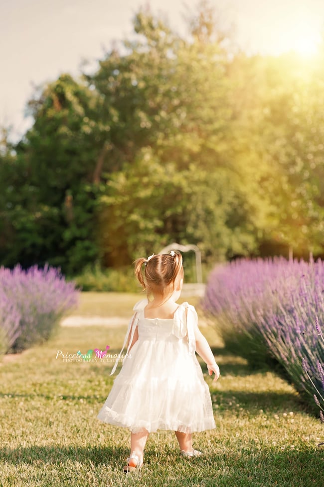 Lavender Mini Session 6/30/25