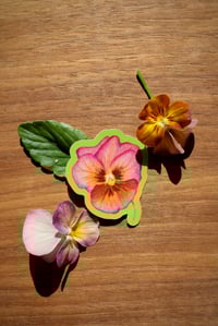 Image 1 of Mulberry Viola Sticker