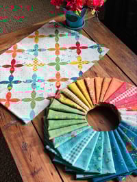 Image 2 of First Blooms Pumpkin Seed Cheater Print