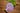 Camellia Sticker