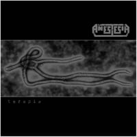 TERAPIA - CD (2007) (AGORTUTA!  -  AGOTADO!)