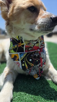 Image 2 of Star Pup Bandana