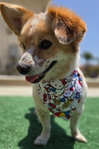 Image 4 of Hello Kitty Blue Bandana 