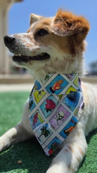 Image 1 of La Loteria Bandana