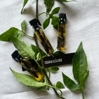 tarot anointing oils ✦ moonless