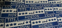 Image 2 of Pack of 25 10x5cm T**s,  F***y and Morton Football/Ultras Stickers.