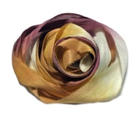 Image 4 of Ready To Ship! 10YD. ANTIQUED HAND DYED SARI SILK RIBBON BY COLOR BURST SILK