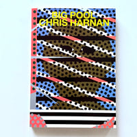 Image 1 of BIG POOL by CHRIS HARNAN!!!